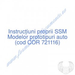Modelor prototipuri auto...
