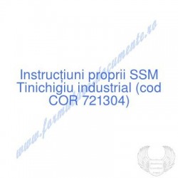 Tinichigiu industrial (cod...