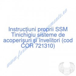 Tinichigiu sisteme de...