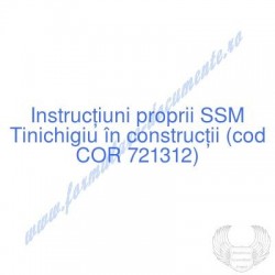 Tinichigiu în construcţii...