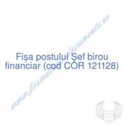 Şef birou financiar (cod...