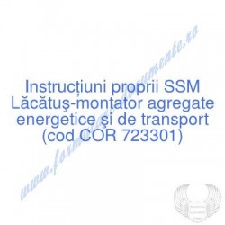 Lăcătuş-montator agregate...