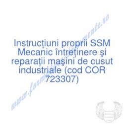 Mecanic întreţinere şi...