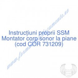 Montator corp sonor la...