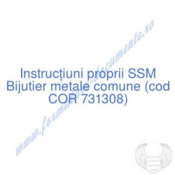 Bijutier metale comune (cod...