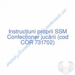 Confecţioner jucării (cod...