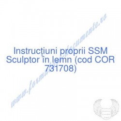 Sculptor în lemn (cod COR...