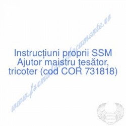 Ajutor maistru ţesător,...