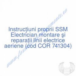 Electrician montare şi...