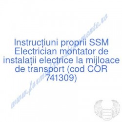Electrician montator de...