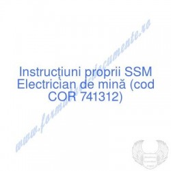 Electrician de mină (cod...