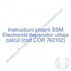 Electronist depanator...