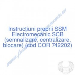 Electromecanic SCB...