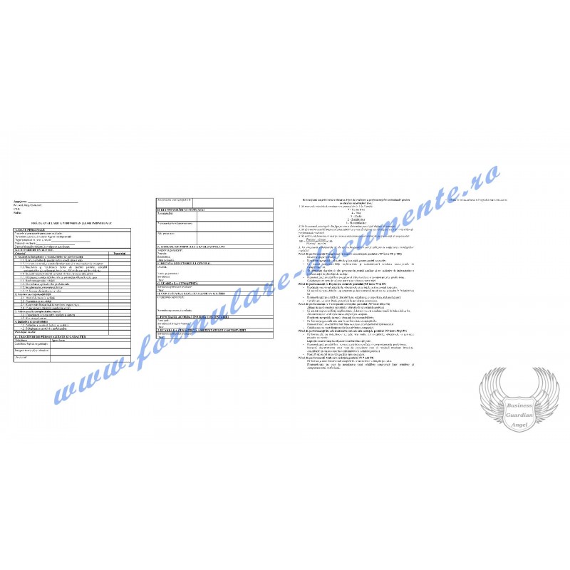 Fișa postului și Fișă de evaluare a performanțelor individuale pentru