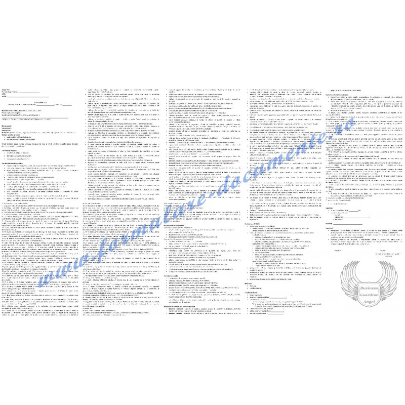 Fișa postului pentru Tehnician topometrist (cod COR 311206) Fișa postului pentru Tehnician topometrist (cod COR 311206)