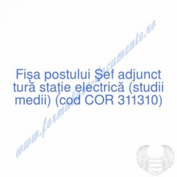 Şef adjunct tură staţie...