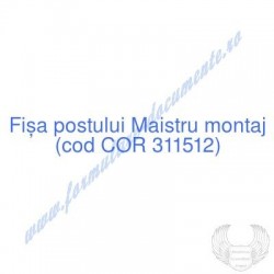 Maistru montaj (cod COR...