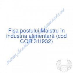 Maistru în industria...