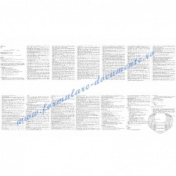 Manager de securitate (cod...