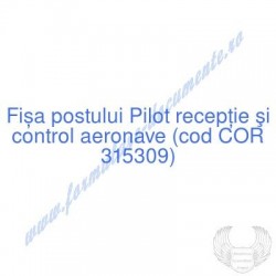 Pilot recepţie şi control...