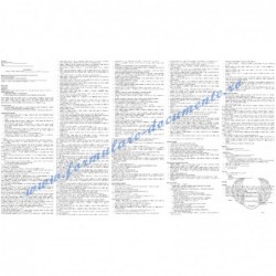 Fișa postului pentru Tehnician în securitate şi sănătate în muncă (cod COR 325721)