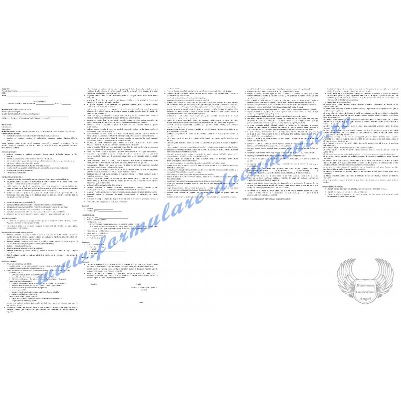 Fișa postului pentru Contabil (cod COR 331302)