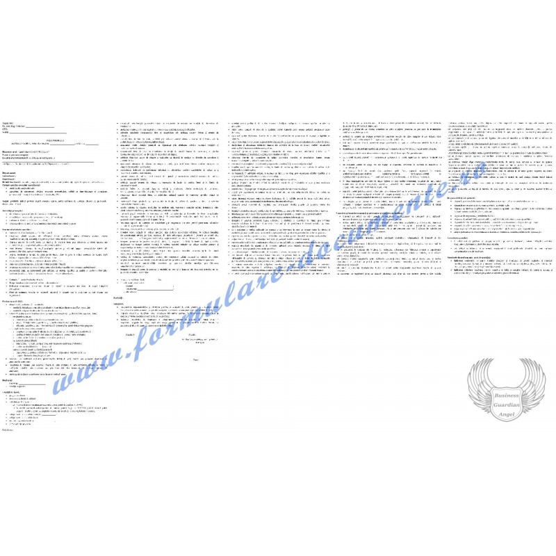 Fișa postului și Fișă de evaluare a performanțelor individuale pentru