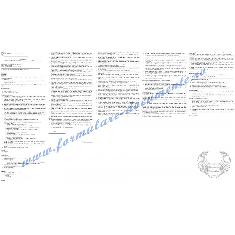 Fișa postului pentru Declarant vamal (cod COR 333105) Fișa postului pentru Declarant vamal (cod COR 333105)