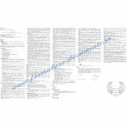 Fișa postului pentru Agent repartizare a forţei de muncă (cod COR 333301)