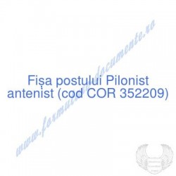 Pilonist antenist (cod COR...