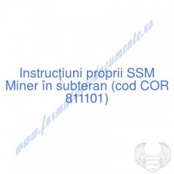 Miner în subteran (cod COR...