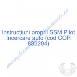 Pilot încercare auto (cod...