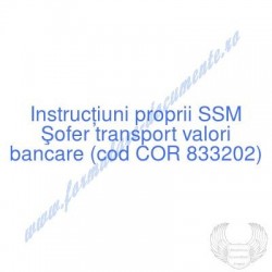 Şofer transport valori...