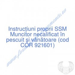 Muncitor necalificat în...