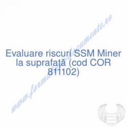 Miner la suprafaţă (cod COR...