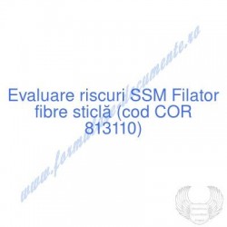 Filator fibre sticlă (cod...