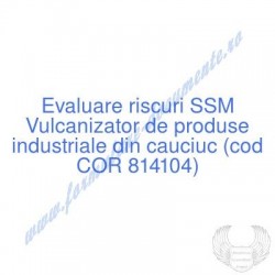 Vulcanizator de produse...