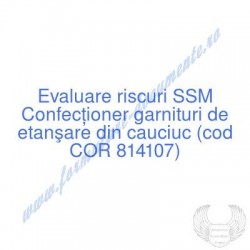 Confecţioner garnituri de...