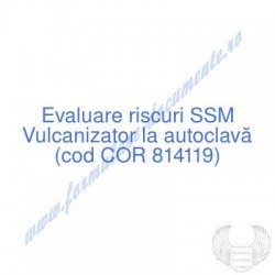 Vulcanizator la autoclavă...