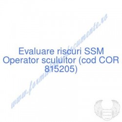 Operator sculuitor (cod COR...
