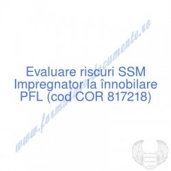 Impregnator la înnobilare...