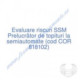 Prelucrător de topituri la...
