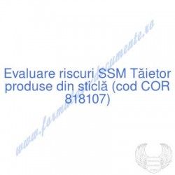 Tăietor produse din sticlă...