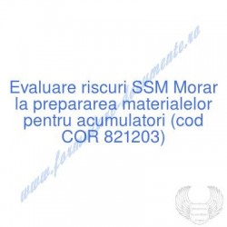 Morar la prepararea...