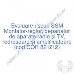 Montator-reglor, depanator...