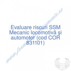 Mecanic locomotivă şi...