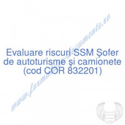Şofer de autoturisme şi...