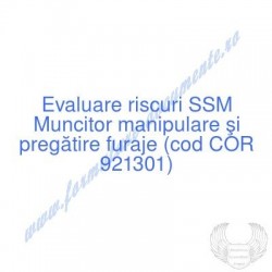 Muncitor manipulare şi...