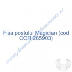 Magician (cod COR 265903) -...