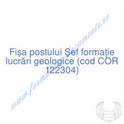 Şef formaţie lucrări...